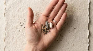 Tiny seeds beside a sunflower seed, a size check before you choose wildflower seeds paper.