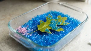 A leaf lying flat in blue silica gel, the drying step used to press leaves wall art fast.