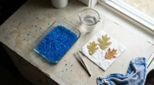 Leaves, silica gel and a cup of water laid out to press leaves wall art fast.