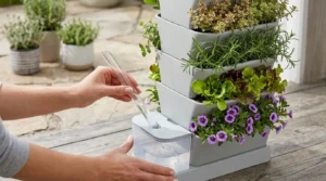 Filling the reservoir on self watering vertical planters.